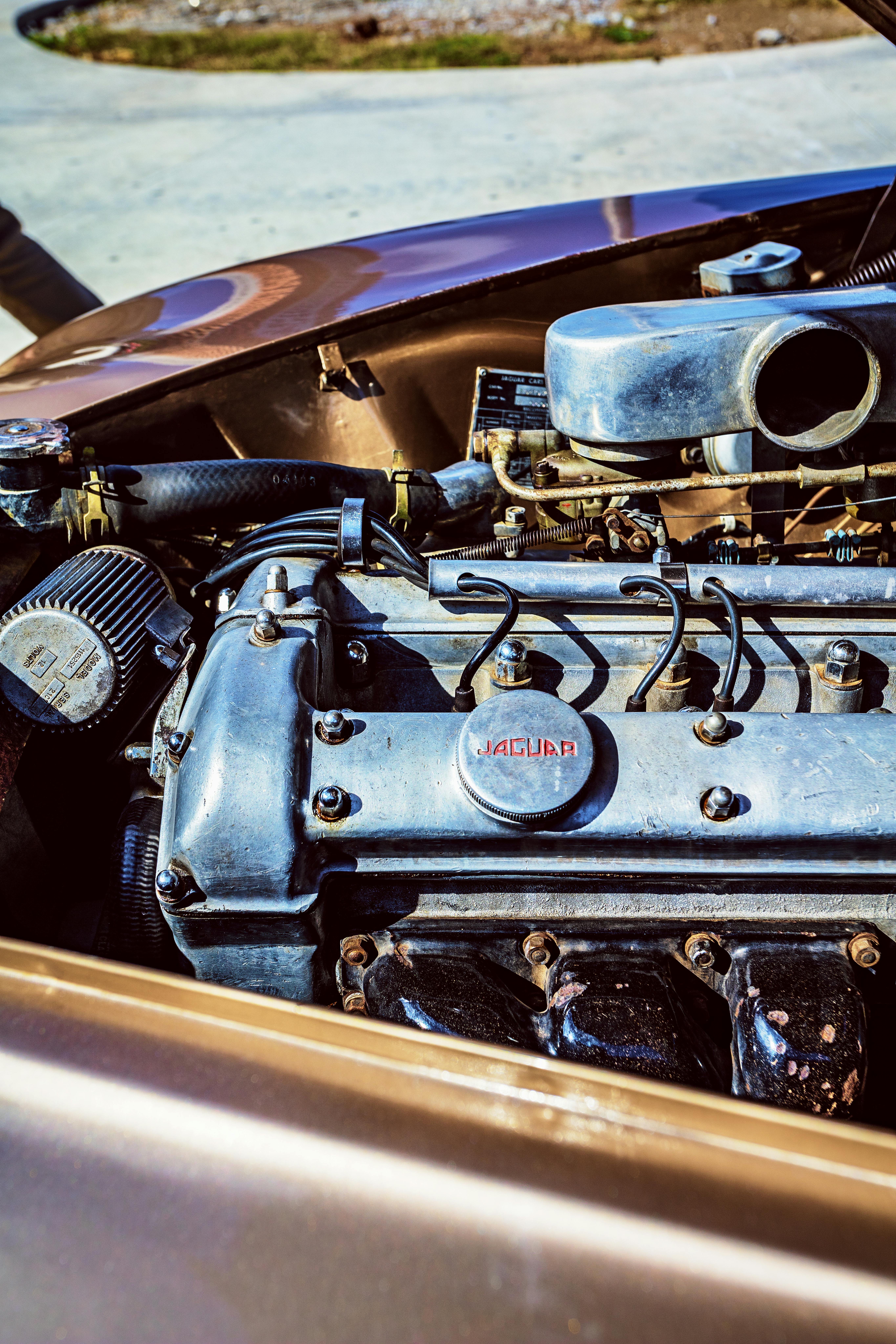 Jaguar Motor-Detail